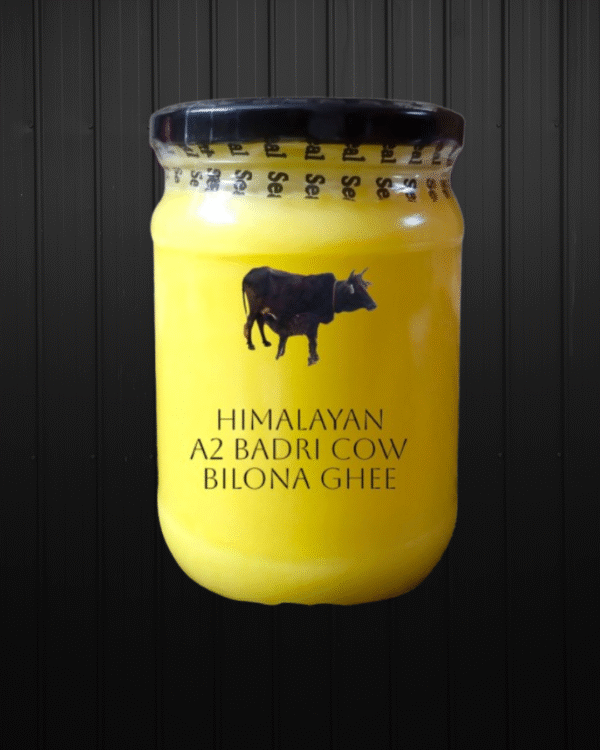 Himalayan Badri Cow Bilona Ghee