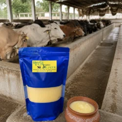 Cream Ghee