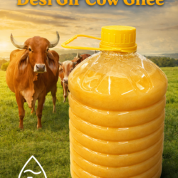 A2 Desi Gir Cow Bilona Ghee – 5 Litres Pack