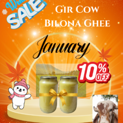 EXP4 – A2 Desi Gir Cow Bilona Ghee – 2 Litres @ 10% Off