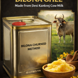 A2 Desi Kankrej Breed Cow Bilona Ghee – 10L Tin