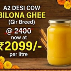 EXP2 – A2 Desi Cow Gir Breed Bilona Ghee – Curd Churned – 1 Litre