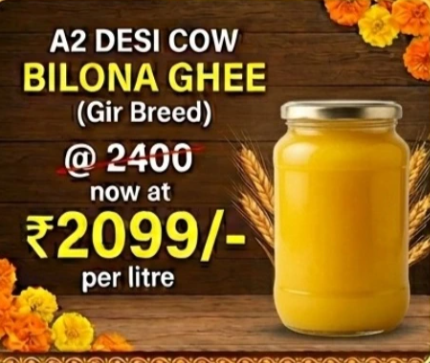 A2 Desi Cow Gir Breed Bilona Ghee - Curd Churned - 1 Litre